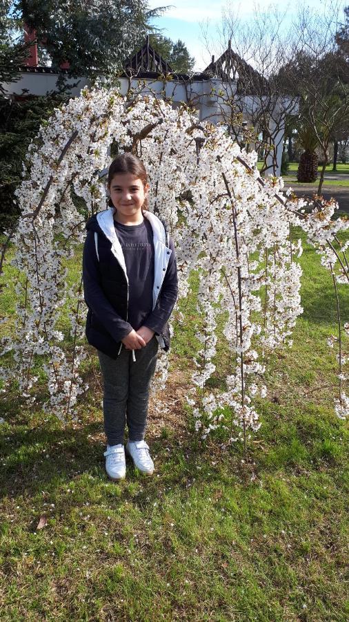 Домики У Лизы Под Ключ Pizunda Bagian luar foto